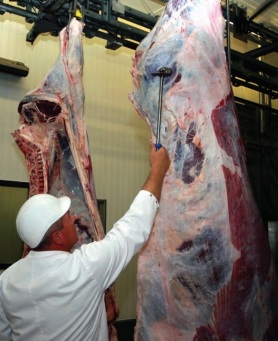 Skimming oil from wastewater at Slaughterhouse